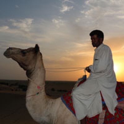 Camel Ride / Horse Safari