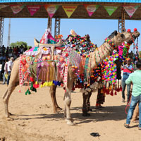 Pushkar fair